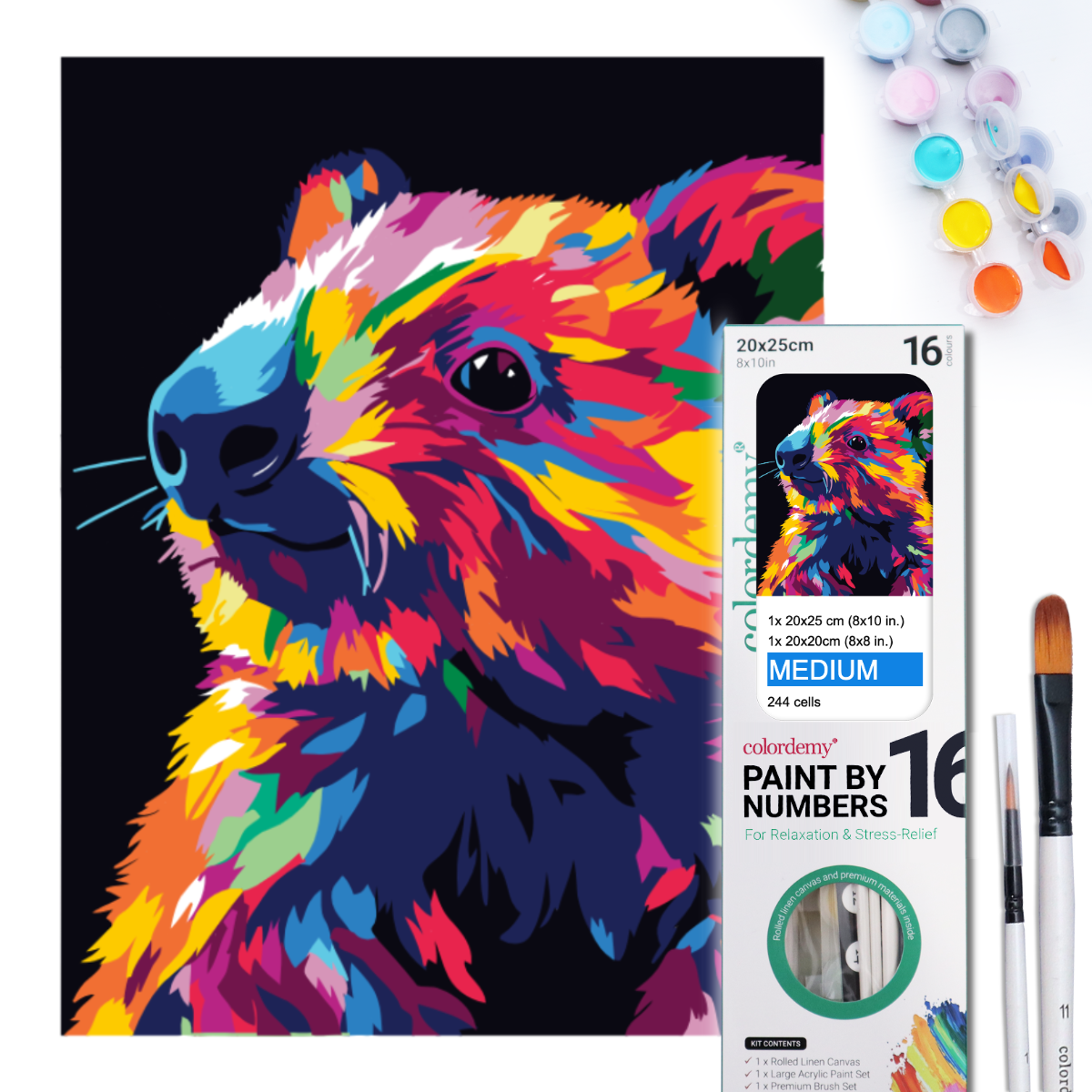 2-in-1 Paint by Numbers Kit - Rolled Canvases (20x25cm & 20x20cm), 16 Colours (Bold In Black - Wombat)