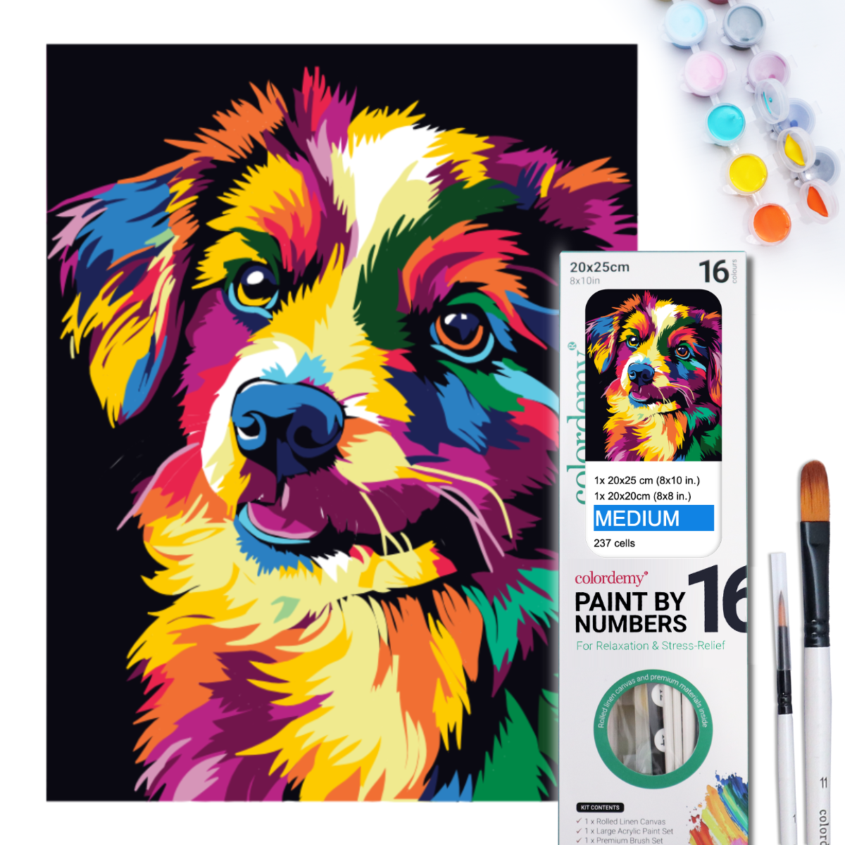 2-in-1 Paint by Numbers Kit - Rolled Canvases (20x25cm & 20x20cm), 16 Colours (Bold In Black - Dog)