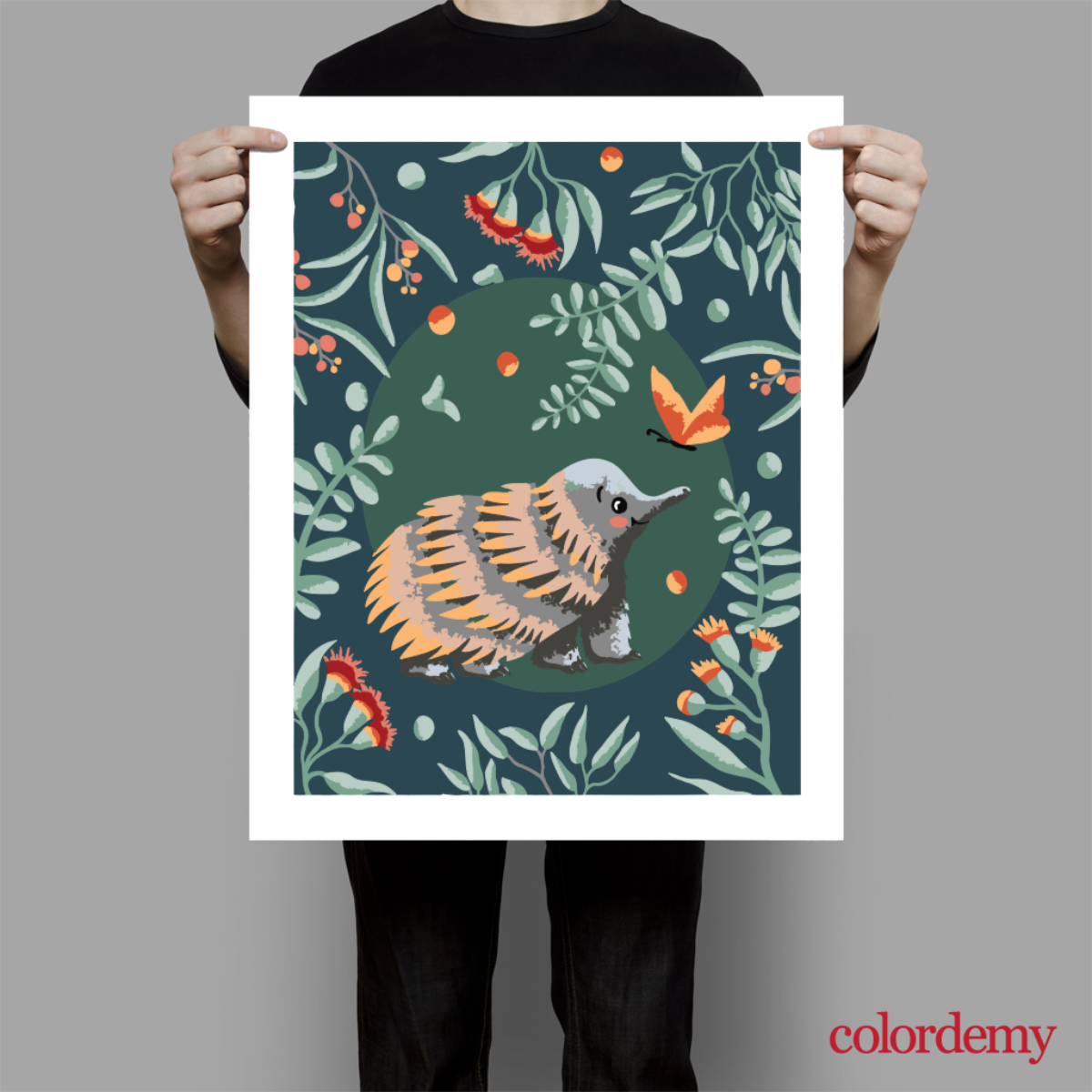 40x50cm Paint by Numbers Kit - Rolled Canvases, 16 Colours (Australian Natives & Friends - Echidna)