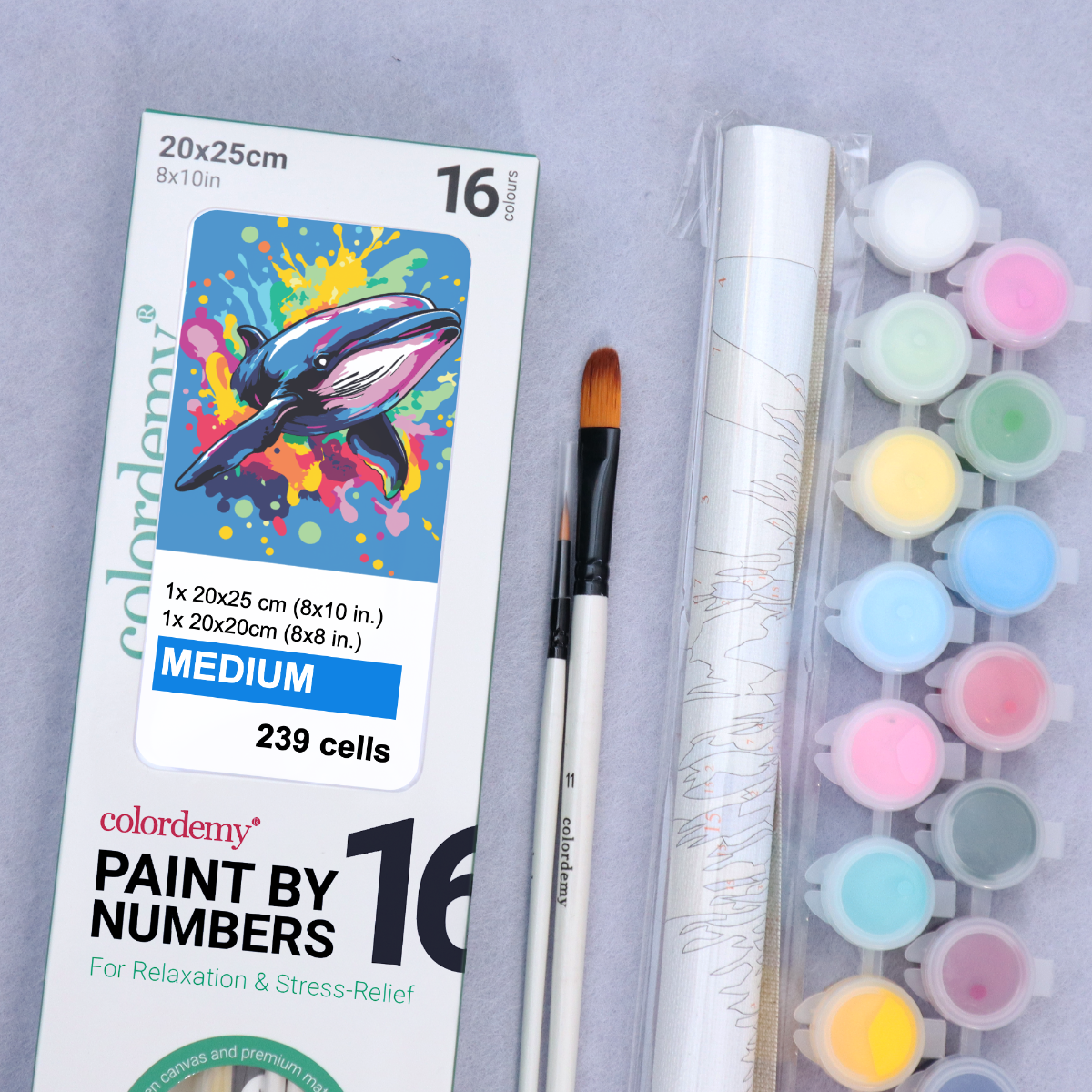 2-in-1 Paint by Numbers Kit - Rolled Canvases (20x25cm & 20x20cm), 16 Colours (Pop Party Palette - Baby Whale)