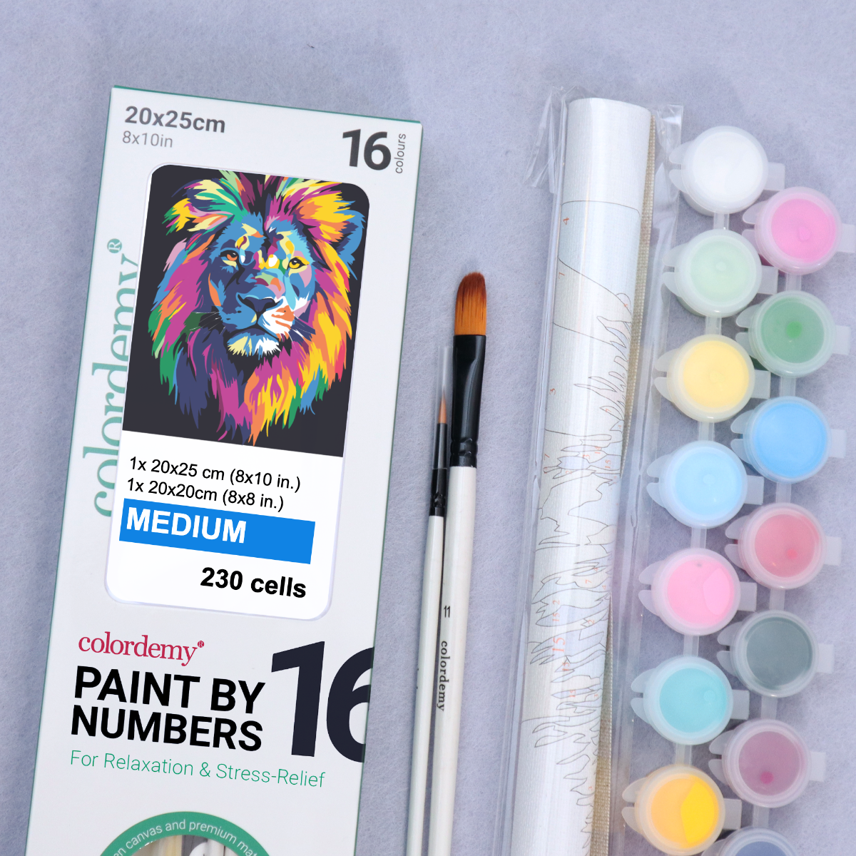 2-in-1 Paint by Numbers Kit - Rolled Canvases (20x25cm & 20x20cm), 16 Colours (Bold in Black - Lion)