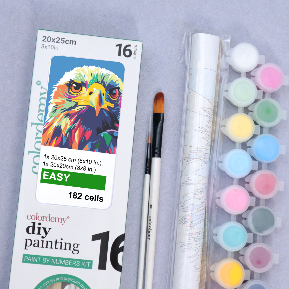 2-in-1 Paint by Numbers Kit - Rolled Canvases (20x25cm & 20x20cm), 16 Colours (Pop Party Palette - Eagle)