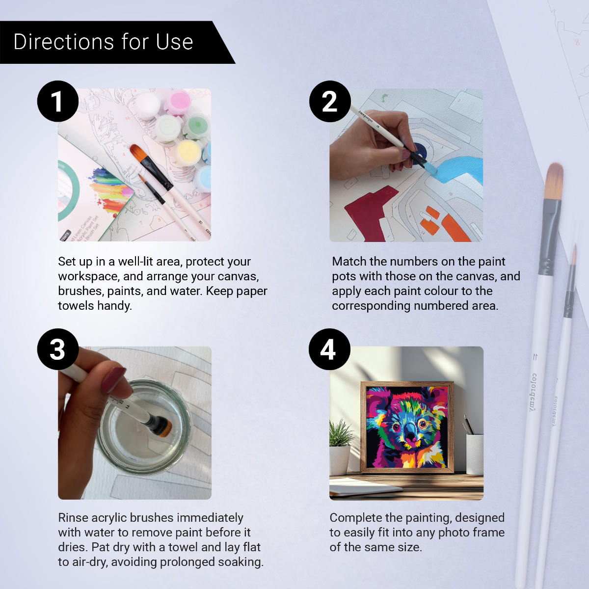 2-in-1 Paint by Numbers Kit - Rolled Canvases (20x25cm & 20x20cm), 16 Colours (Bold In Black - Koala)