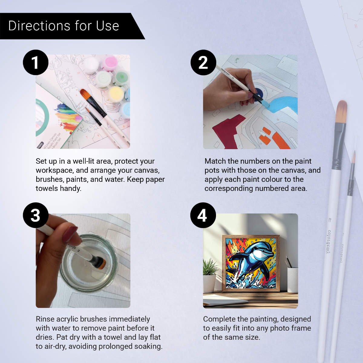 2-in-1 Paint by Numbers Kit - Rolled Canvases (20x25cm & 20x20cm), 16 Colours (Sea Life - Dolphin)