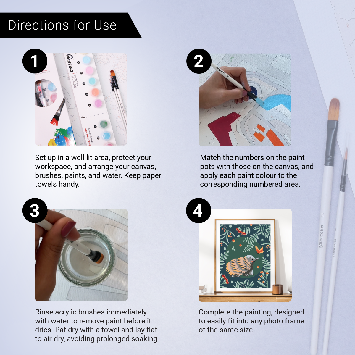 40x50cm Paint by Numbers Kit - Rolled Canvases, 16 Colours (Australian Natives & Friends - Echidna)