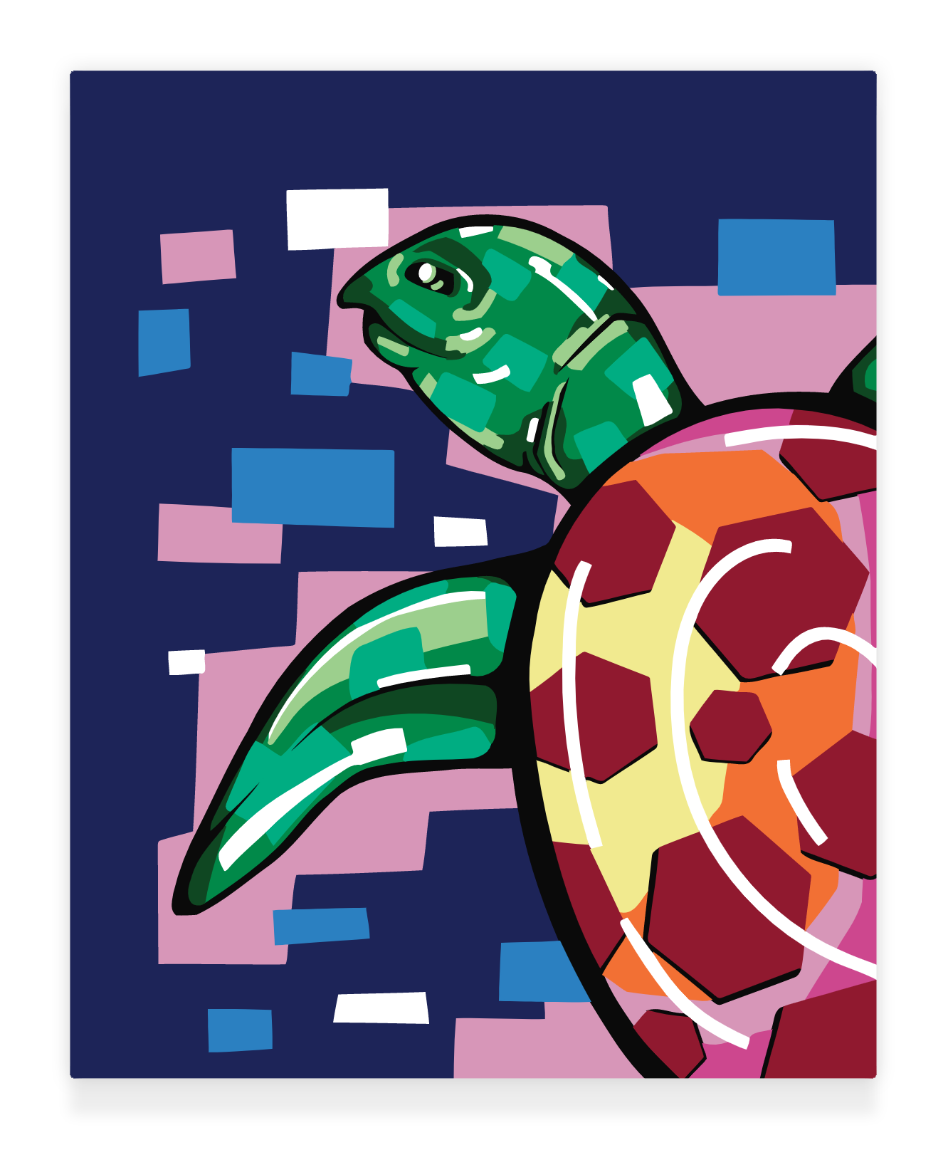 40x50cm Paint by Numbers Kit: Aquatic Beauty: Colourful Turtle