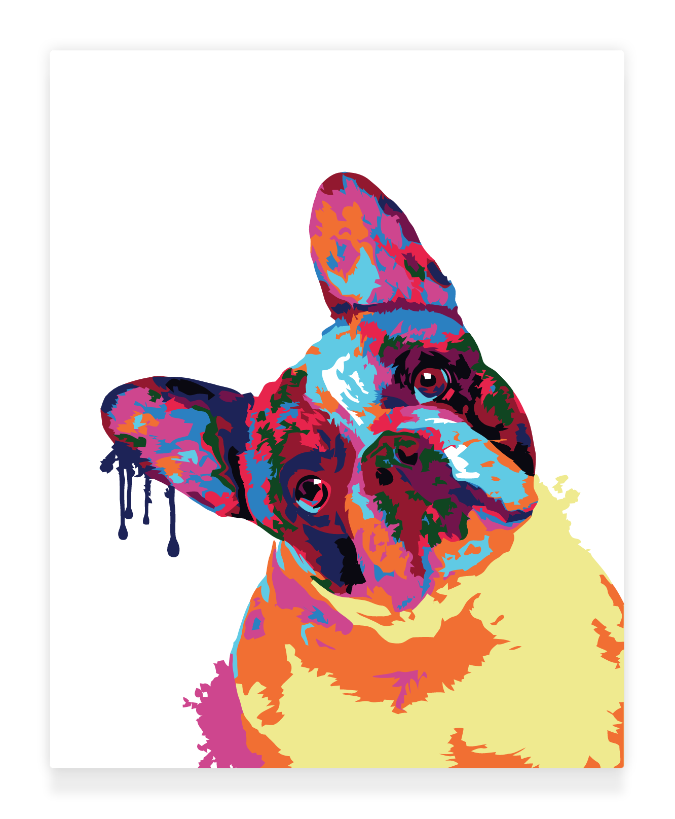 Colorful French Bulldog Easy Paint by Numbers Kit for Adults Free