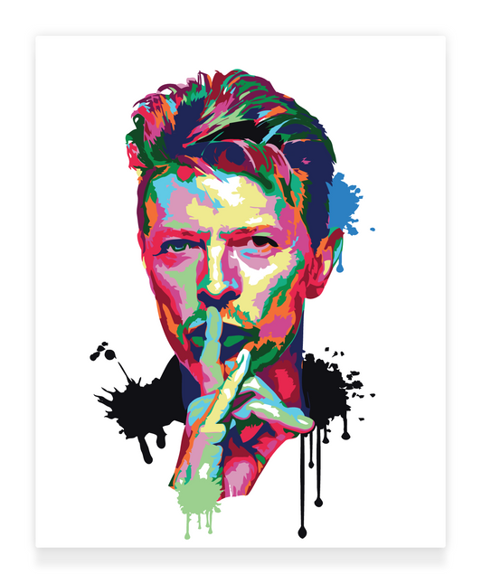40x50cm Paint by Numbers kit: Bowie's Brilliance: Abstract and Colourful