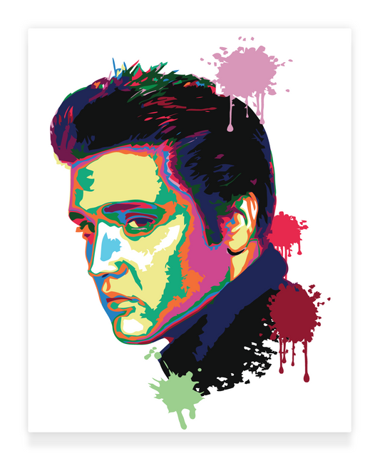 40x50cm Paint by Numbers kit: Musical Majesty: Colourful Abstract Elvis
