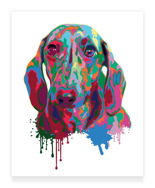 40x50cm Paint by Numbers kit: Vivid Play: Colourful Splash Dog
