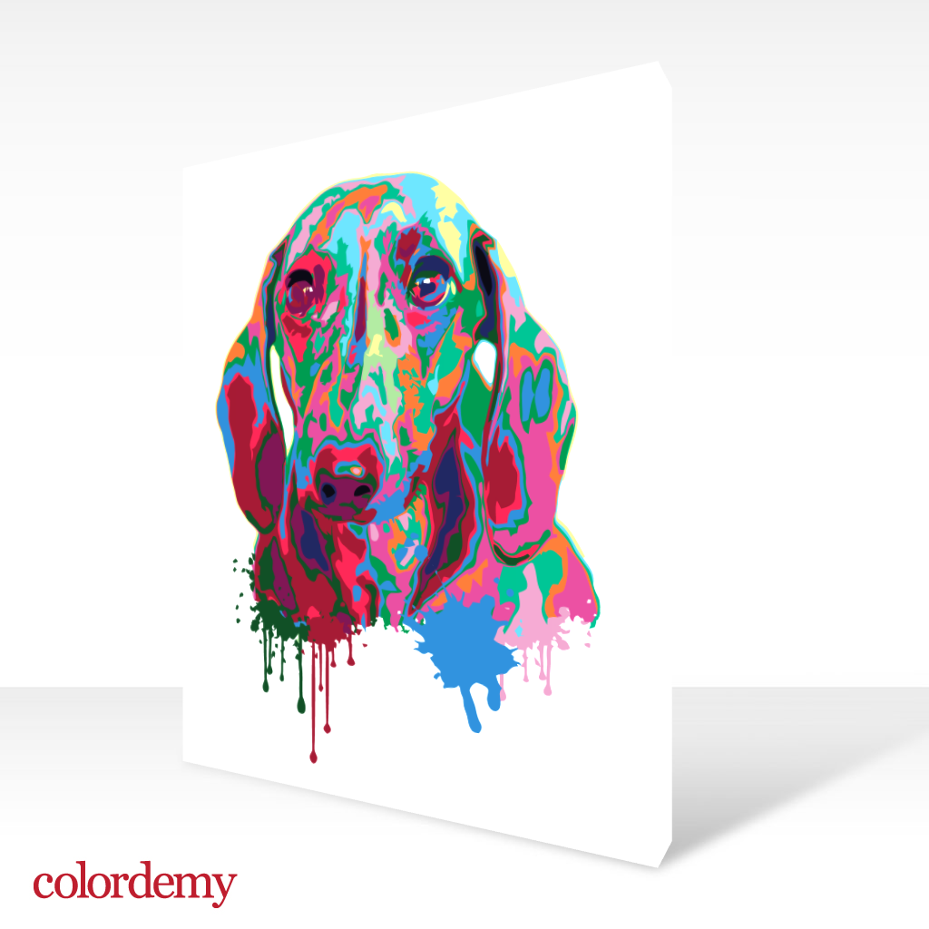 40x50cm Paint by Numbers kit: Vivid Play: Colourful Splash Dog