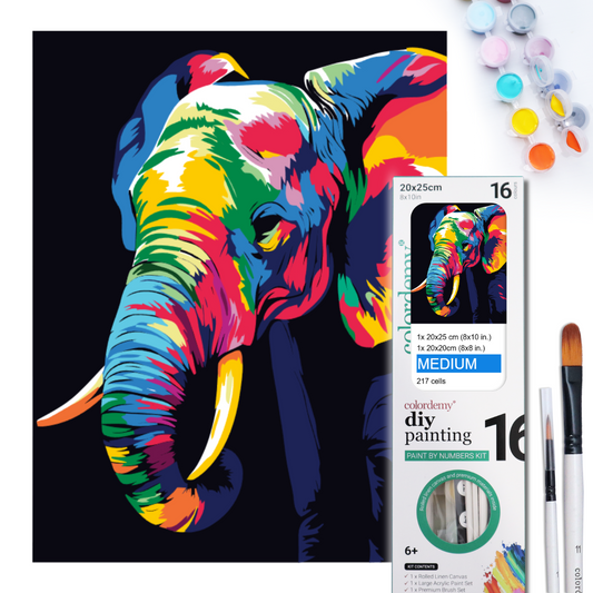 2-in-1 Paint by Numbers Kit - Rolled Canvases (20x25cm & 20x20cm), 16 Colours (Bold In Black - Elephant)