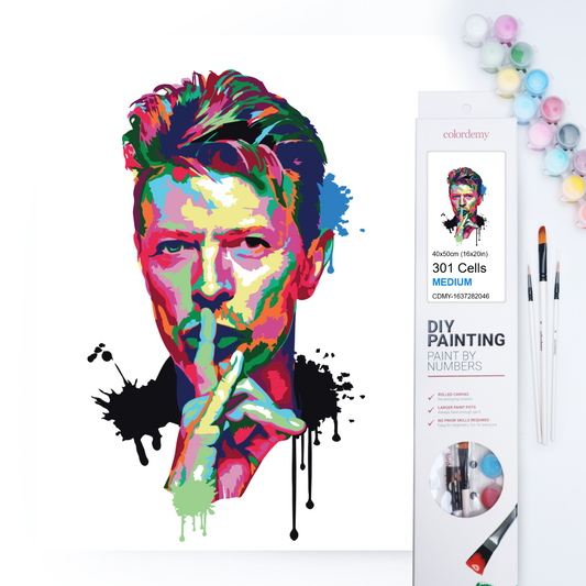 40x50cm Paint by Numbers kit: Bowie's Brilliance: Abstract and Colourful