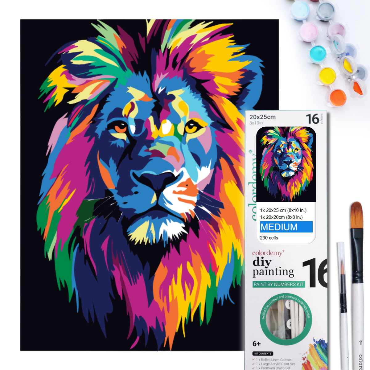 2-in-1 Paint by Numbers Kit - Rolled Canvases (20x25cm & 20x20cm), 16 Colours (Bold in Black - Lion)