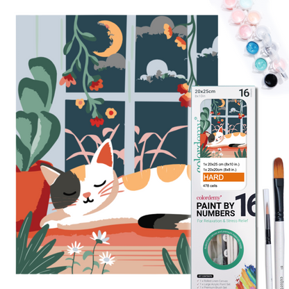 2-in-1 Paint by Numbers Kit - Rolled Canvases (20x25cm & 20x20cm), 16 Colours (Hue & Whimsy - Sleepy Cat)