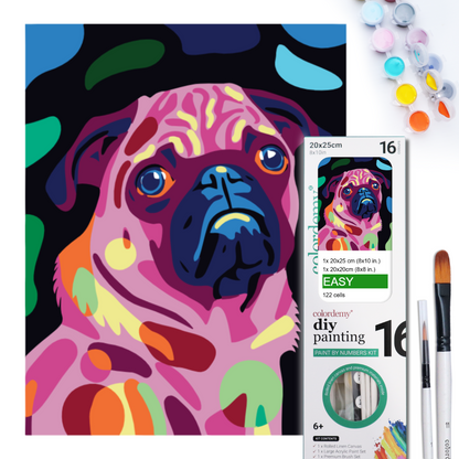 2-in-1 Paint by Numbers Kit - Rolled Canvases (20x25cm & 20x20cm), 16 Colours (Proud Little Paws - Pug)