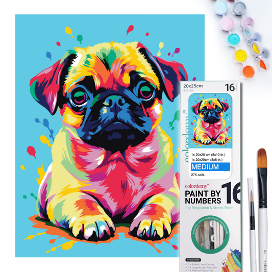 2-in-1 Paint by Numbers Kit - Rolled Canvases (20x25cm & 20x20cm), 16 Colours (Pop Party Palette - Cute Pug)