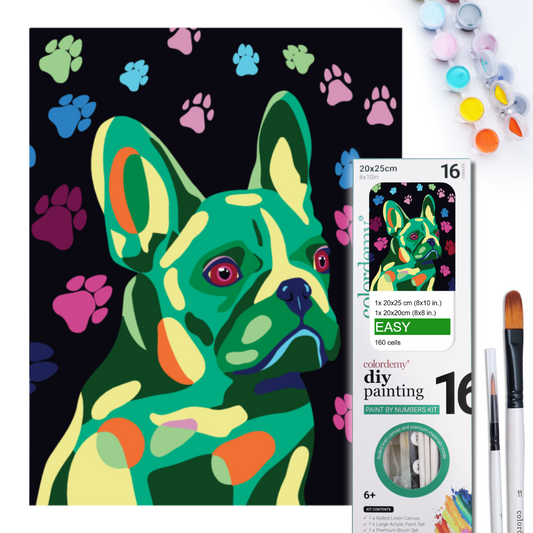2-in-1 Paint by Numbers Kit - Rolled Canvases (20x25cm & 20x20cm), 16 Colours (Proud Little Paws - French Bulldog)