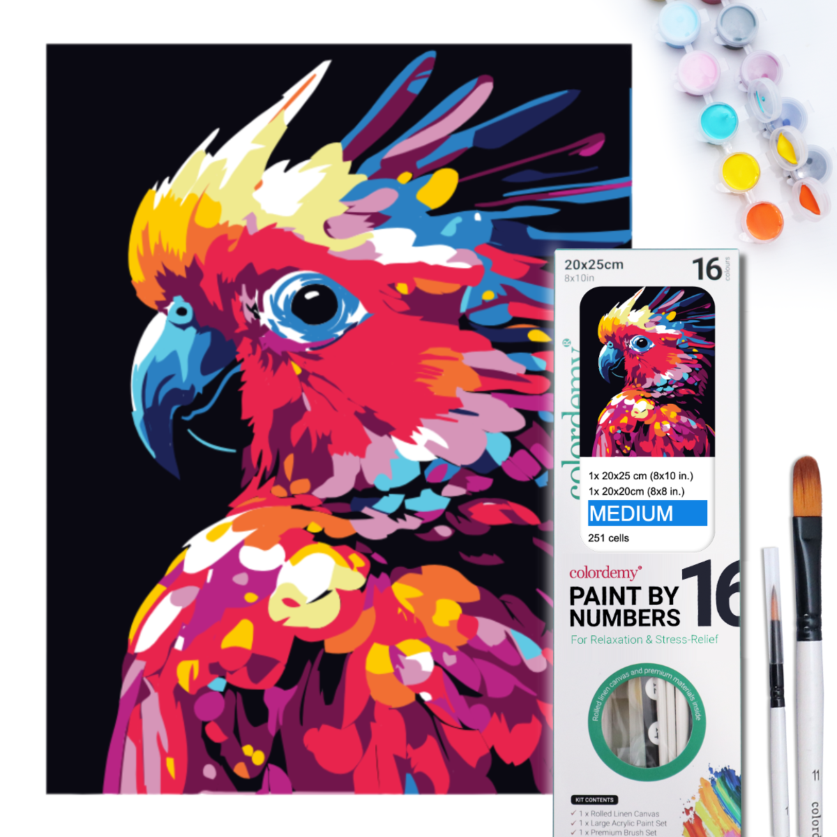 2-in-1 Paint by Numbers Kit - Rolled Canvases (20x25cm & 20x20cm), 16 Colours (Bold In Black - Cockatoo)