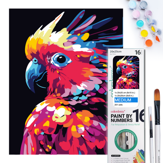 2-in-1 Paint by Numbers Kit - Rolled Canvases (20x25cm & 20x20cm), 16 Colours (Bold In Black - Cockatoo)