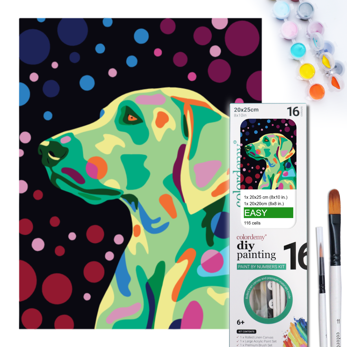 2-in-1 Paint by Numbers Kit - Rolled Canvases (20x25cm & 20x20cm), 16 Colours (Proud Little Paws - Labrador)