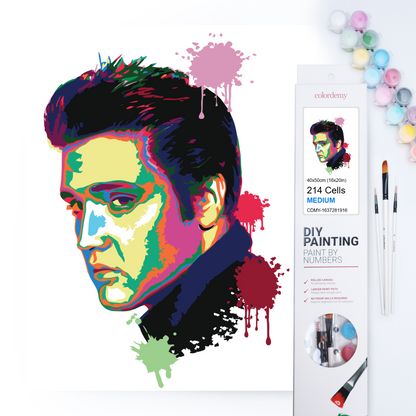 40x50cm Paint by Numbers kit: Musical Majesty: Colourful Abstract Elvis