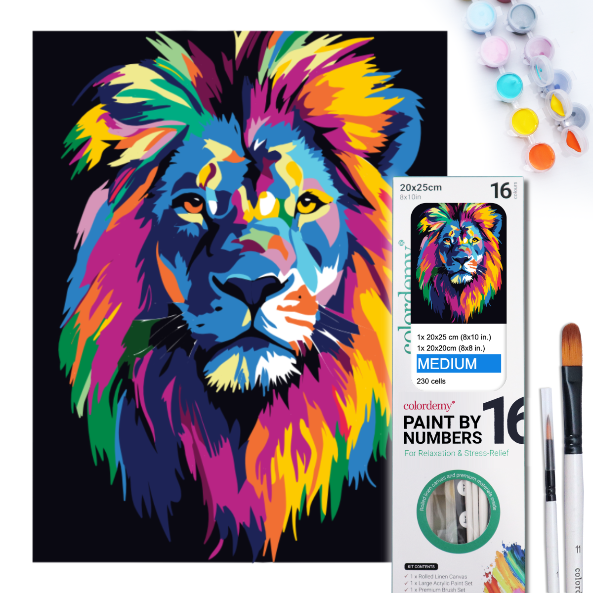 2-in-1 Paint by Numbers Kit - Rolled Canvases (20x25cm & 20x20cm), 16 Colours (Bold in Black - Lion)