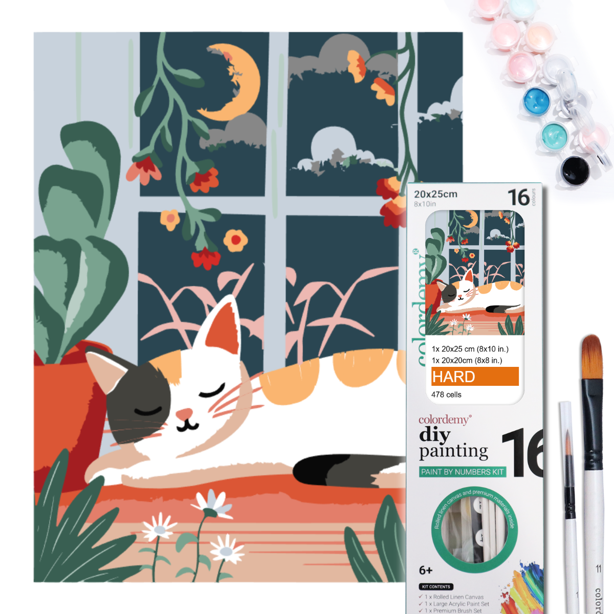 2-in-1 Paint by Numbers Kit - Rolled Canvases (20x25cm & 20x20cm), 16 Colours (Hue & Whimsy - Sleepy Cat)