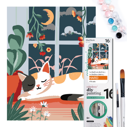 2-in-1 Paint by Numbers Kit - Rolled Canvases (20x25cm & 20x20cm), 16 Colours (Hue & Whimsy - Sleepy Cat)