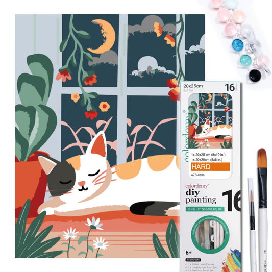 2-in-1 Paint by Numbers Kit - Rolled Canvases (20x25cm & 20x20cm), 16 Colours (Hue & Whimsy - Sleepy Cat)