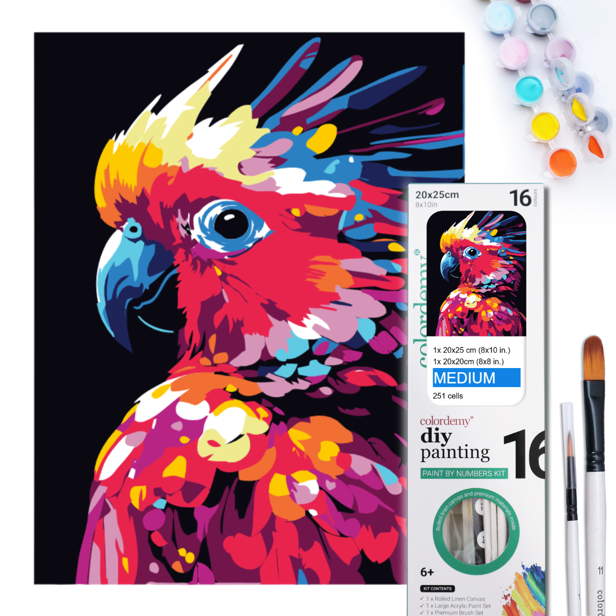 2-in-1 Paint by Numbers Kit - Rolled Canvases (20x25cm & 20x20cm), 16 Colours (Bold In Black - Cockatoo)