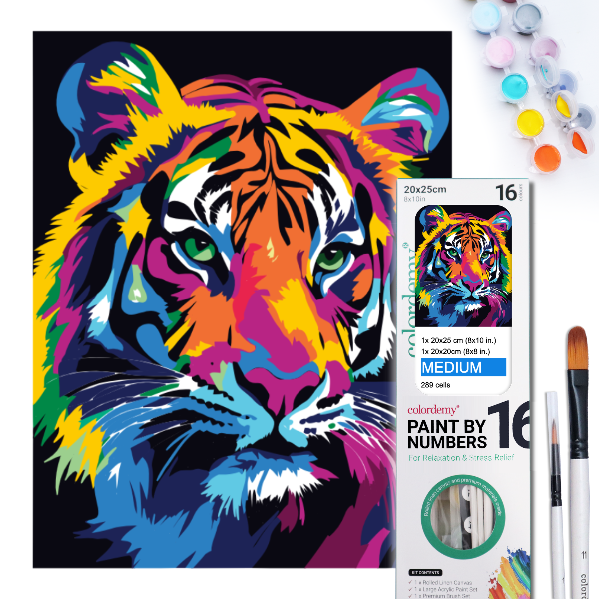 2-in-1 Paint by Numbers Kit - Rolled Canvases (20x25cm & 20x20cm), 16 Colours (Tiger)