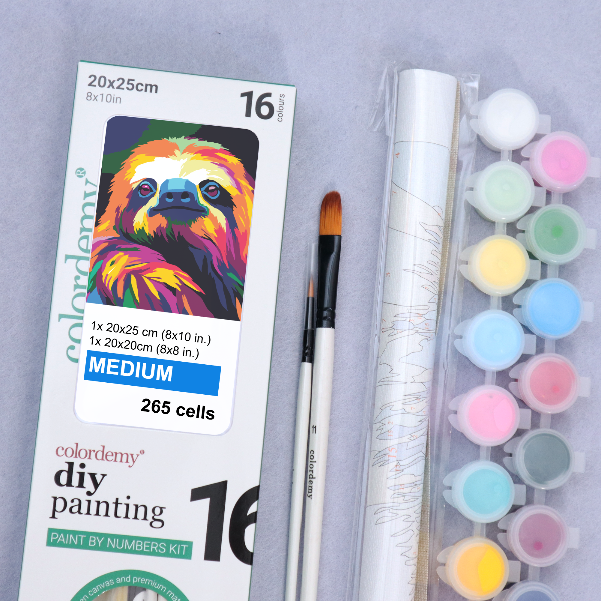 2-in-1 Paint by Numbers Kit - Rolled Canvases (20x25cm & 20x20cm), 16 Colours (Sloth)