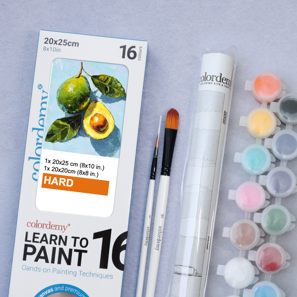 Learn to Paint Kit (Fruits - Avocado)