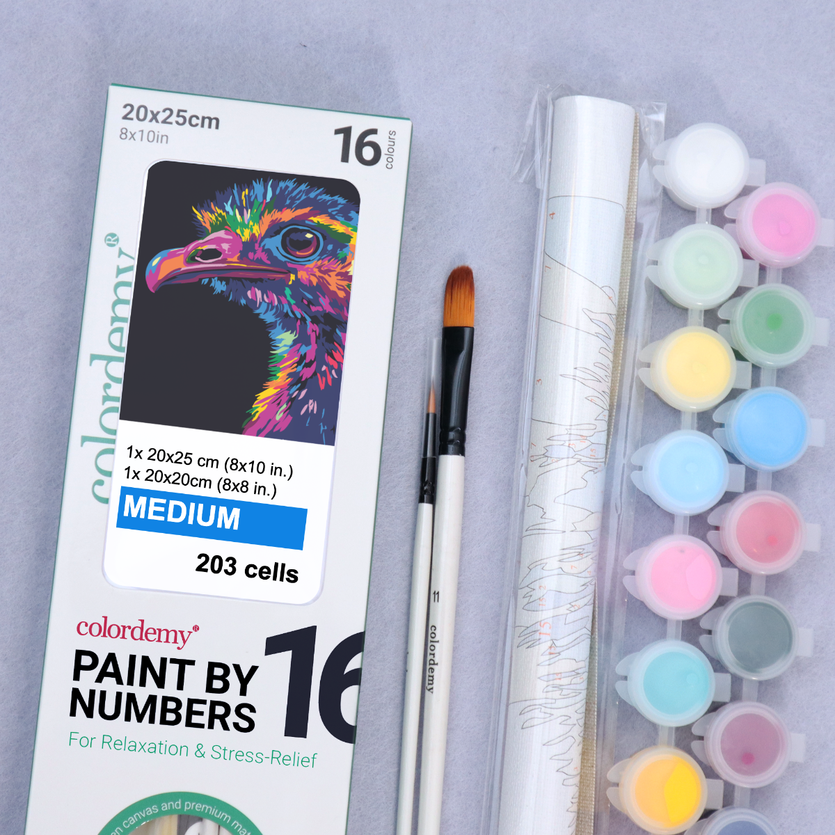 2-in-1 Paint by Numbers Kit - Rolled Canvases (20x25cm & 20x20cm), 16 Colours (Bold In Black - Emu)