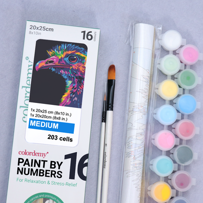 2-in-1 Paint by Numbers Kit - Rolled Canvases (20x25cm & 20x20cm), 16 Colours (Bold In Black - Emu)
