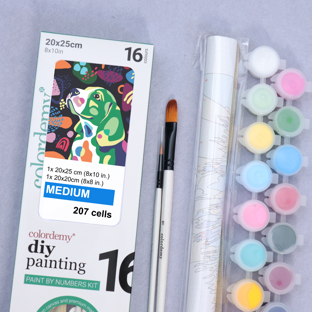 2-in-1 Paint by Numbers Kit - Rolled Canvases (20x25cm & 20x20cm), 16 Colours (Proud Little Paws - Dachshund)