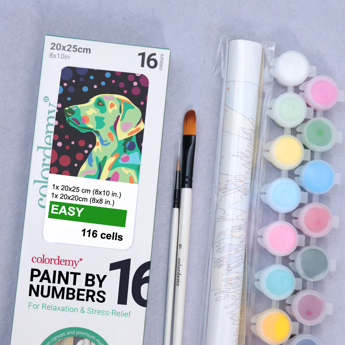 2-in-1 Paint by Numbers Kit - Rolled Canvases (20x25cm & 20x20cm), 16 Colours (Proud Little Paws - Labrador)
