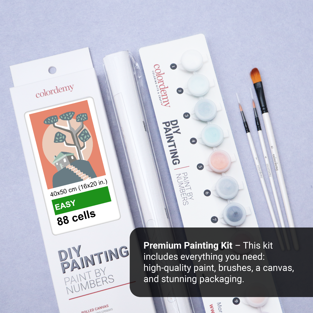 40x50cm Paint by Numbers Kit - Rolled Canvases, 16 Colours (Funkies - House on The Hill)