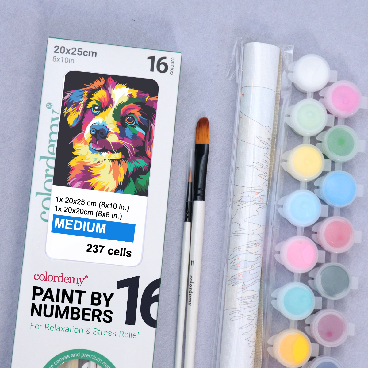 2-in-1 Paint by Numbers Kit - Rolled Canvases (20x25cm & 20x20cm), 16 Colours (Bold In Black - Dog)