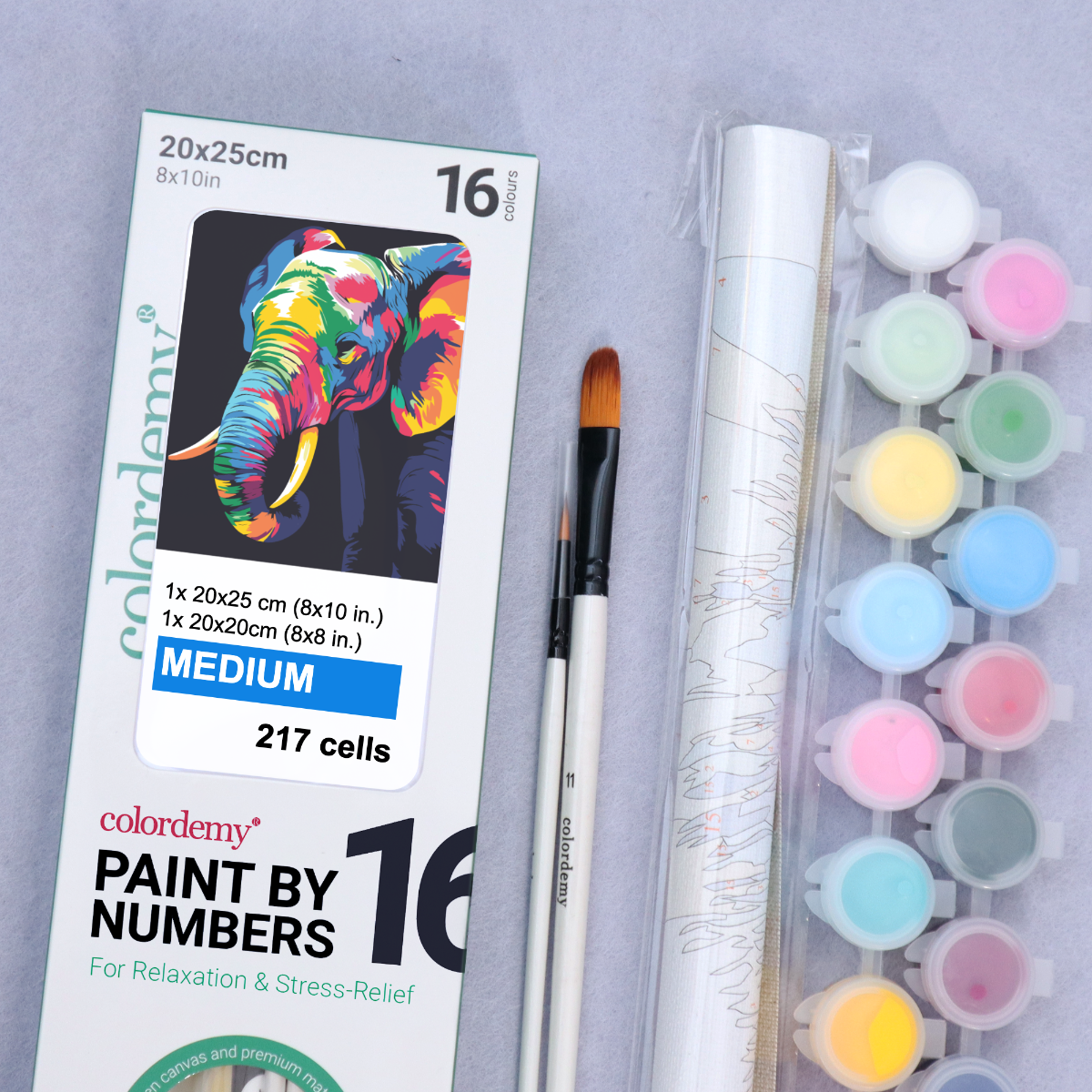 2-in-1 Paint by Numbers Kit - Rolled Canvases (20x25cm & 20x20cm), 16 Colours (Bold In Black - Elephant)