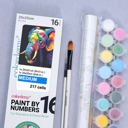 2-in-1 Paint by Numbers Kit - Rolled Canvases (20x25cm & 20x20cm), 16 Colours (Bold In Black - Elephant)