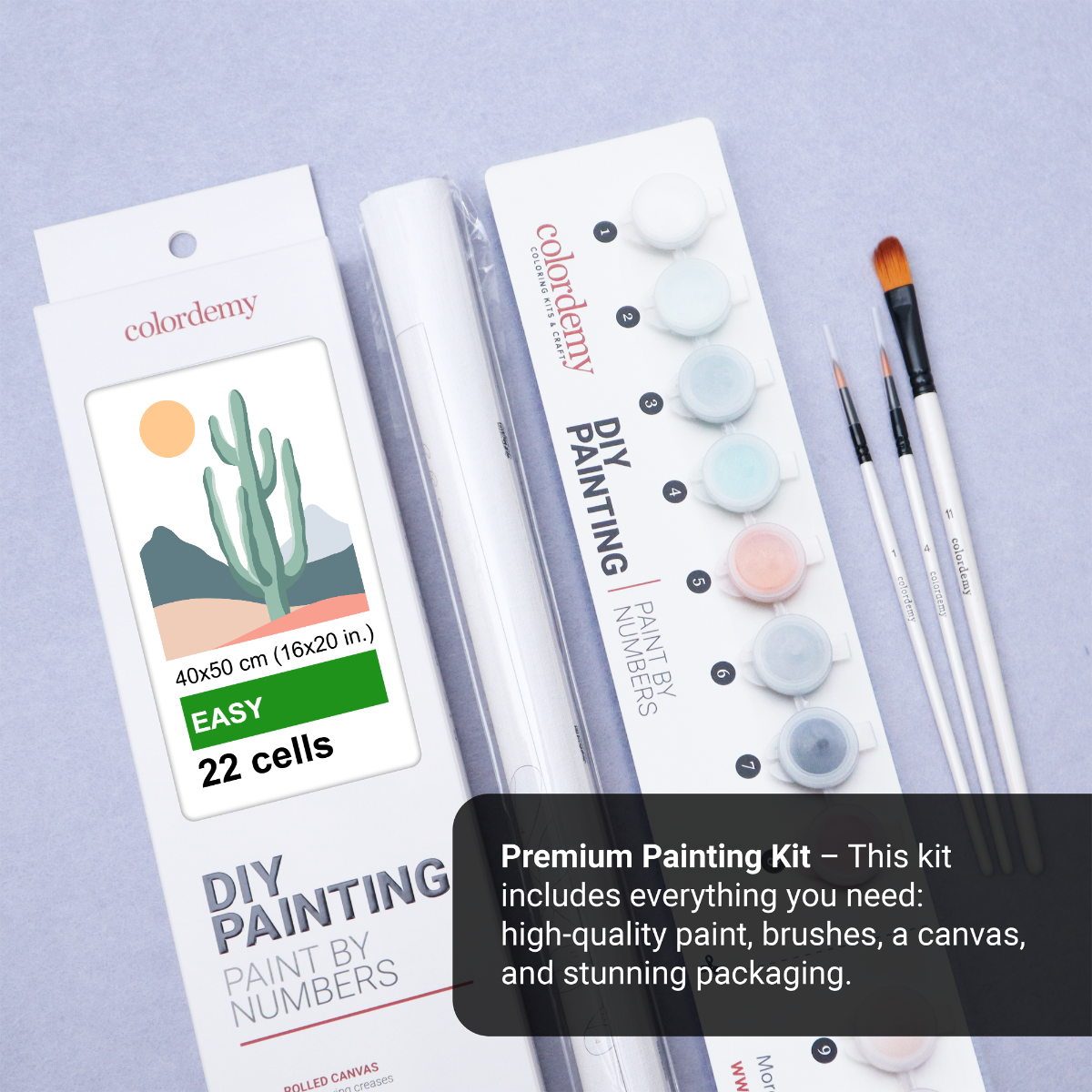 40x50cm Paint by Numbers Kit: Minimalist Desert: Tall Cactus