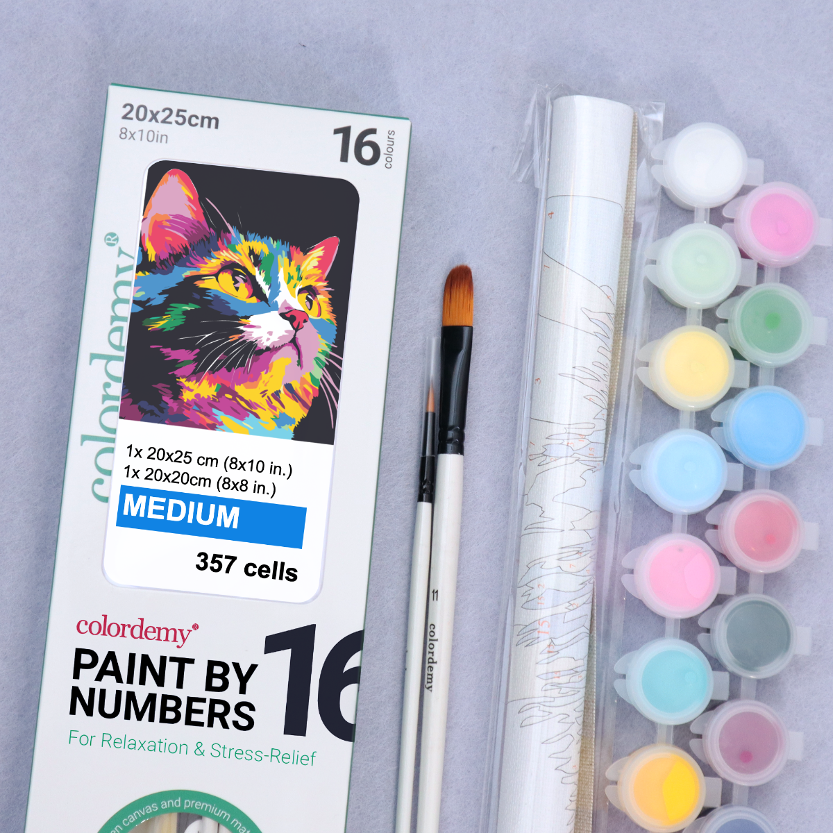 2-in-1 Paint by Numbers Kit - Rolled Canvases (20x25cm & 20x20cm), 16 Colours (Bold In Black - Cat)