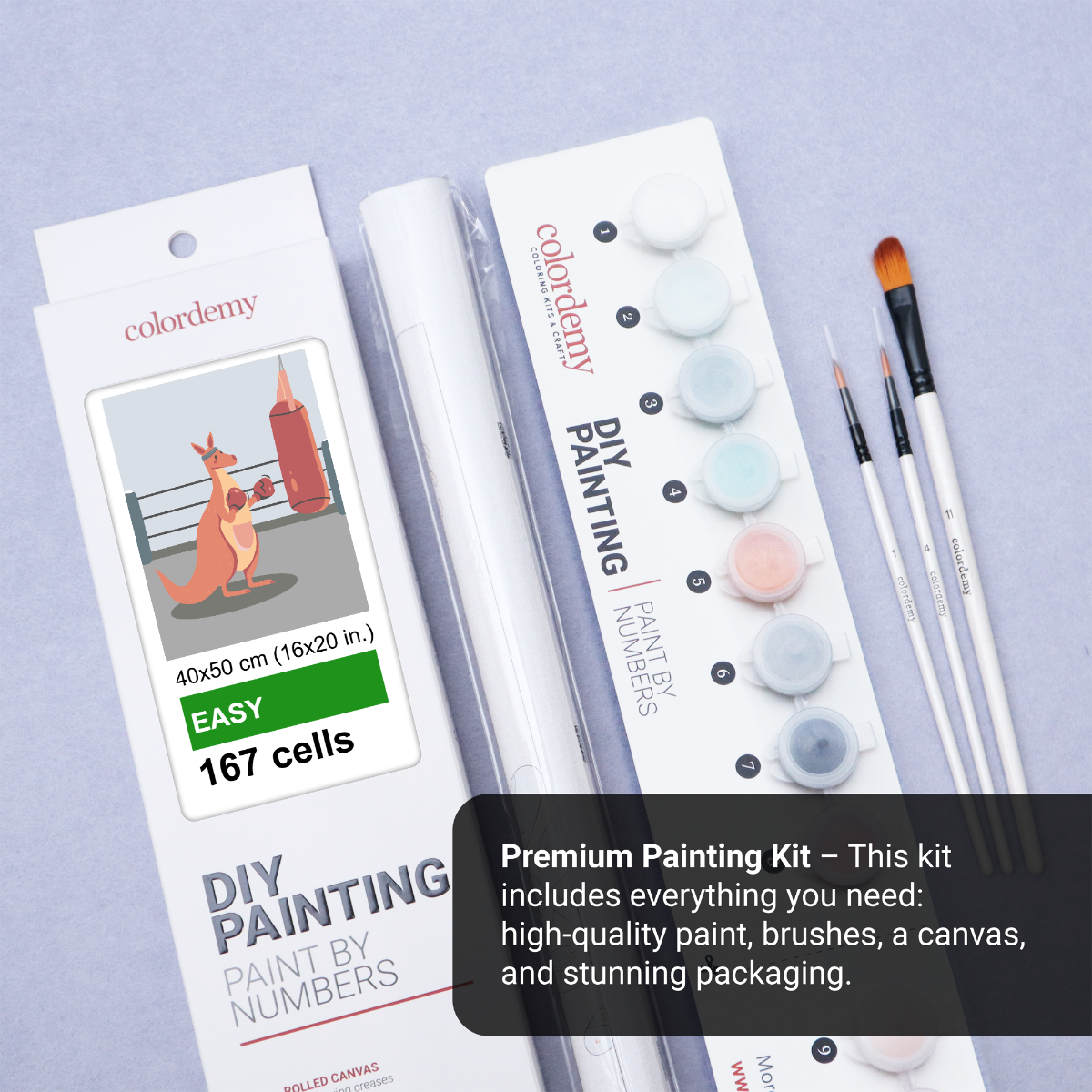 40x50cm Paint by Numbers Kit:  Kangaroo Champion: Boxing Glory