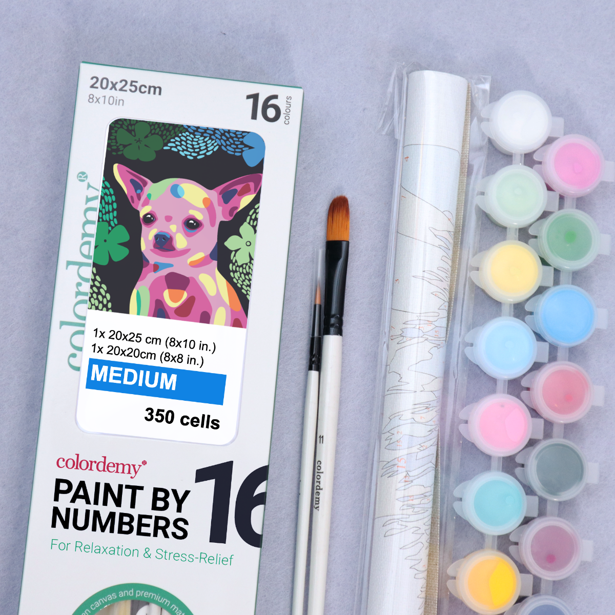 2-in-1 Paint by Numbers Kit - Rolled Canvases (20x25cm & 20x20cm), 16 Colours (Proud Little Paws - Chihuahua)