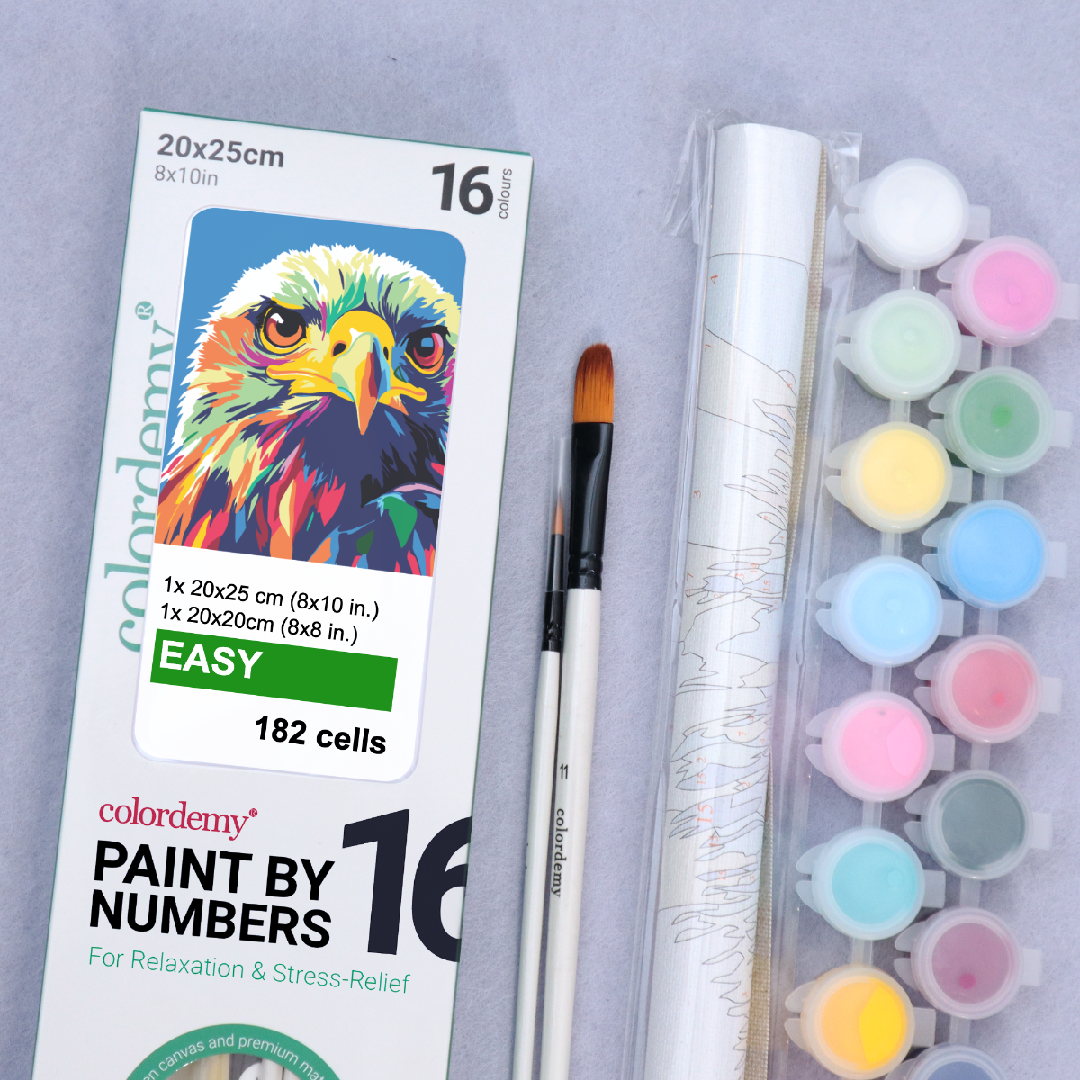2-in-1 Paint by Numbers Kit - Rolled Canvases (20x25cm & 20x20cm), 16 Colours (Pop Party Palette - Eagle)