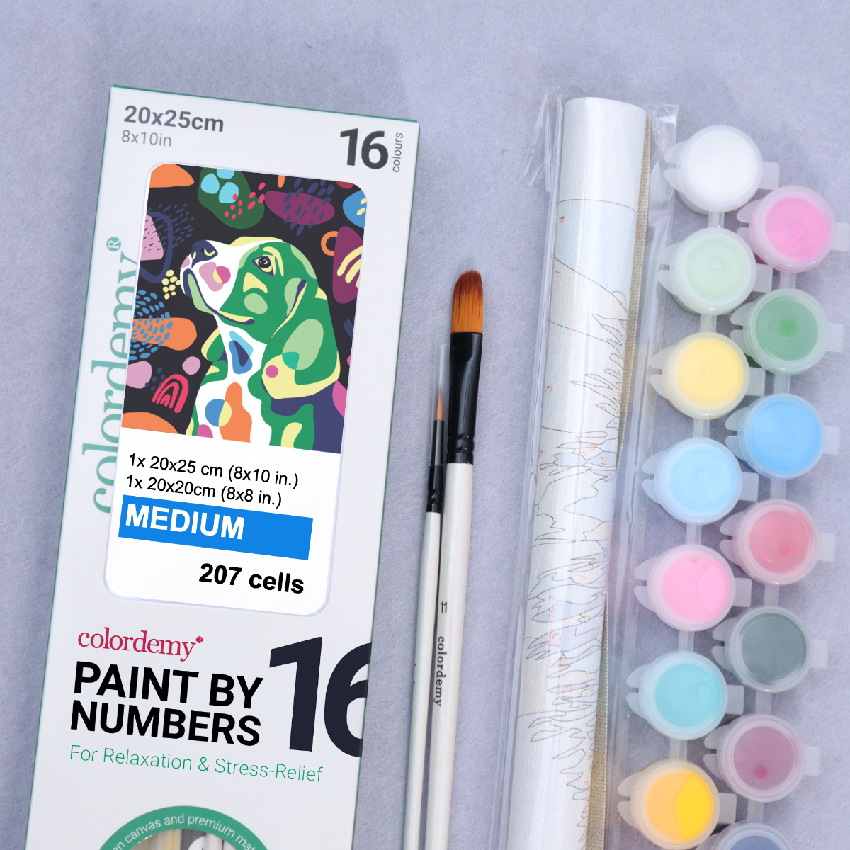 2-in-1 Paint by Numbers Kit - Rolled Canvases (20x25cm & 20x20cm), 16 Colours (Proud Little Paws - Dachshund)