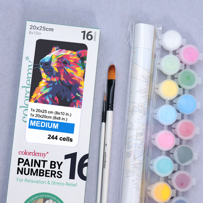 2-in-1 Paint by Numbers Kit - Rolled Canvases (20x25cm & 20x20cm), 16 Colours (Bold In Black - Wombat)