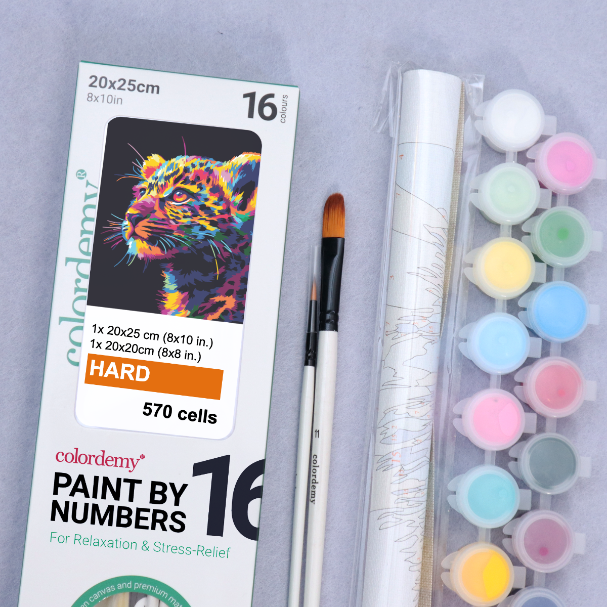 2-in-1 Paint by Numbers Kit - Rolled Canvases (20x25cm & 20x20cm), 16 Colours (Bold In Black - Leopard)